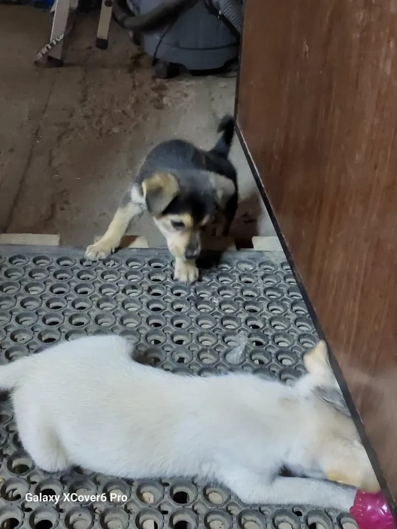 carousel-image-mobile-7