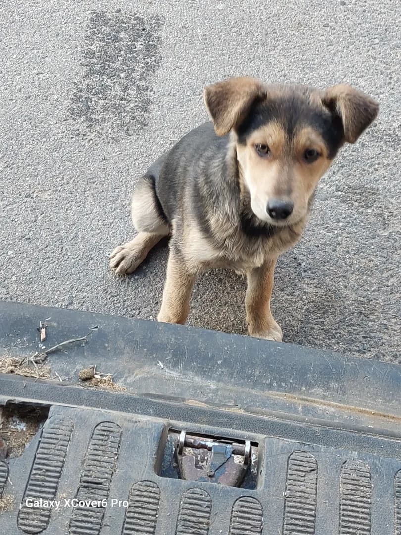 carousel-image-mobile-8