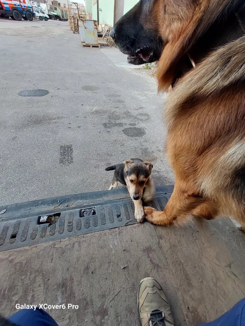 carousel-image-mobile-9