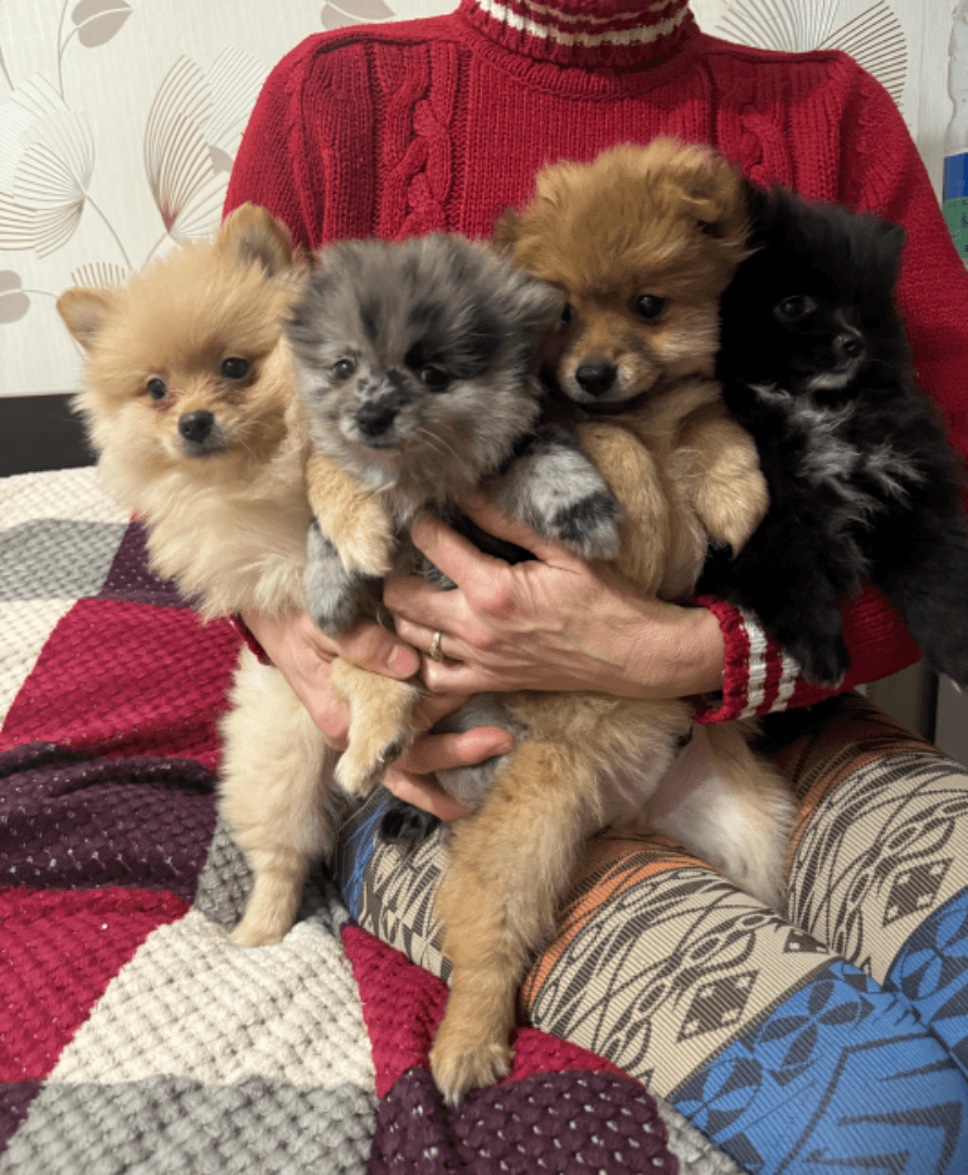 carousel-image-mobile-1