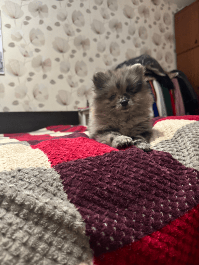 carousel-image-mobile-2