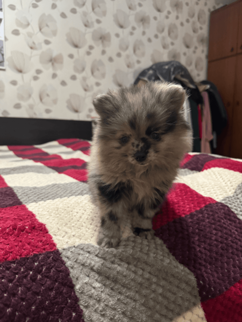 carousel-image-mobile-3