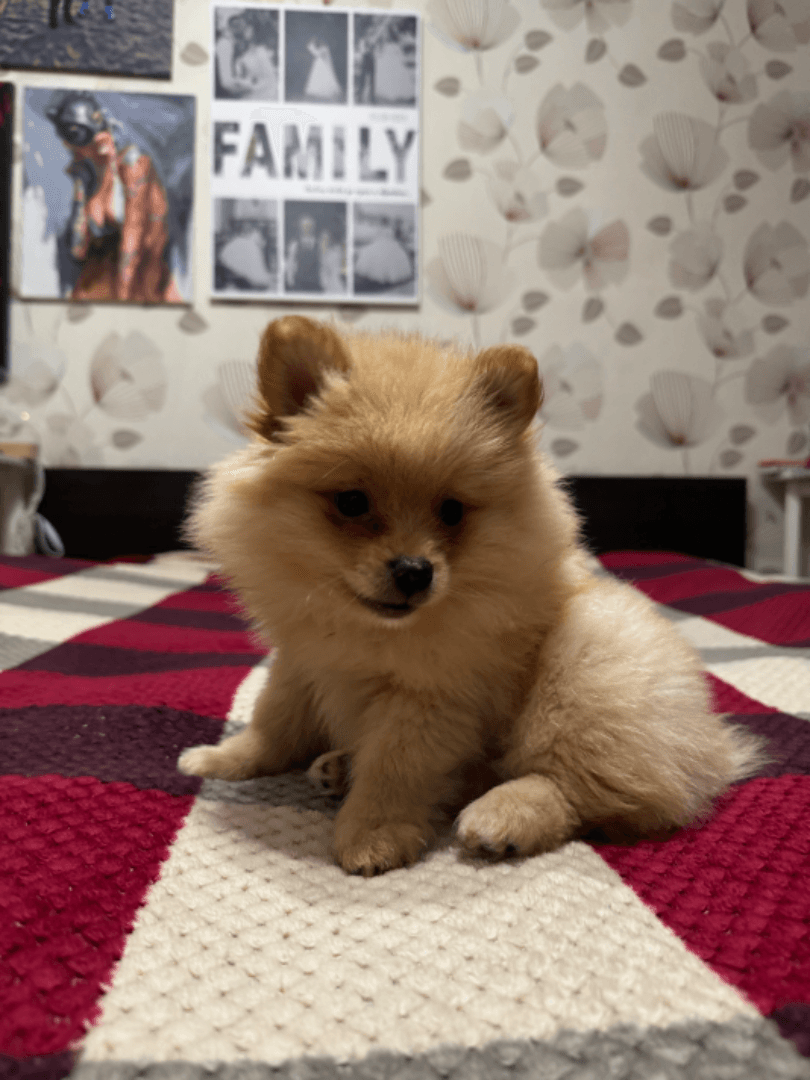 carousel-image-mobile-4