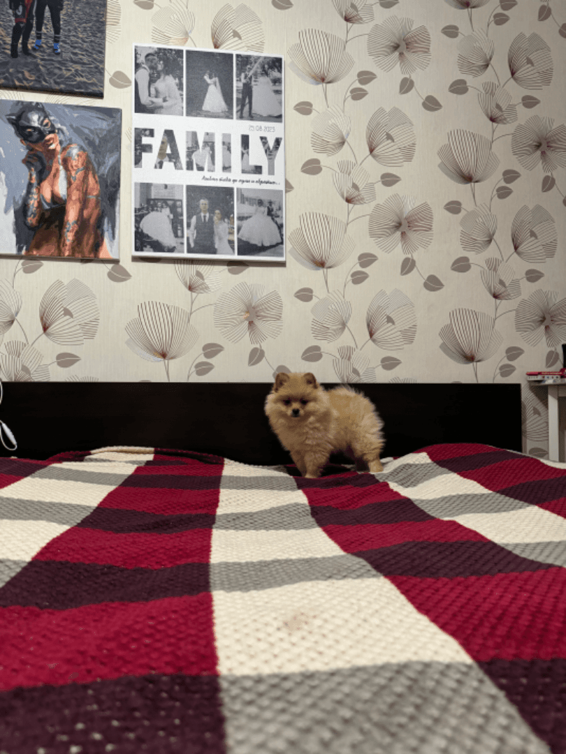 carousel-image-mobile-5