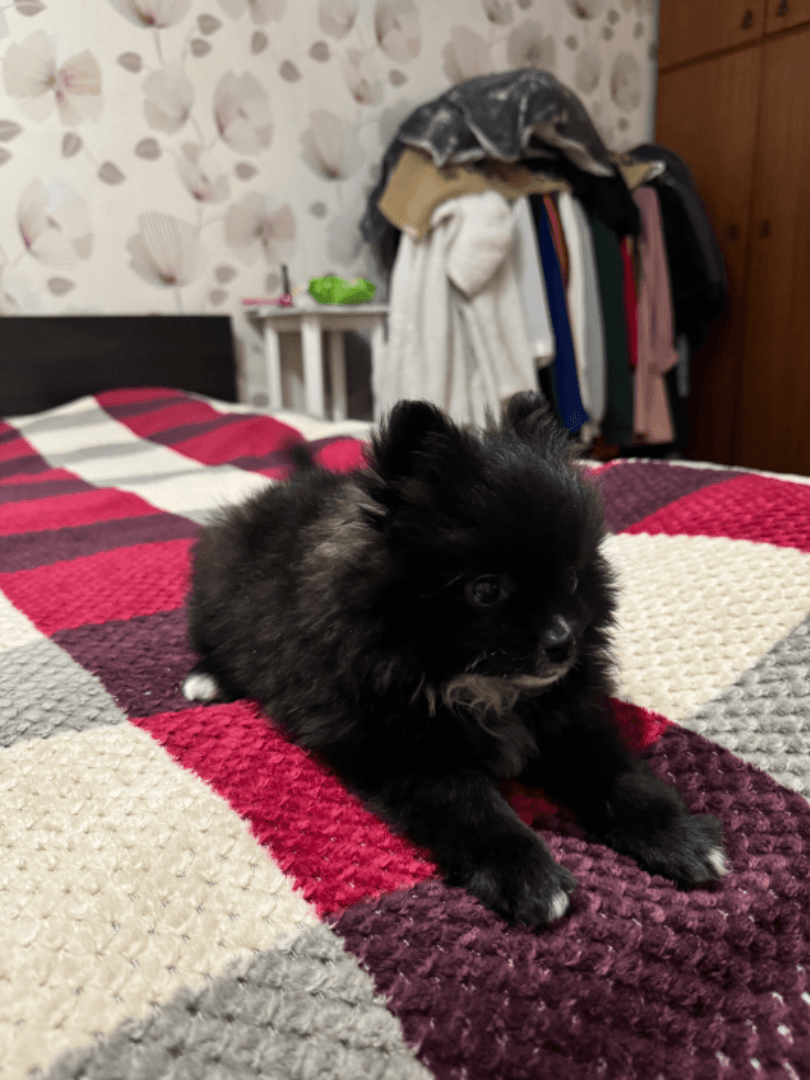 carousel-image-mobile-6