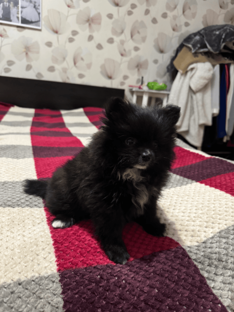 carousel-image-mobile-7