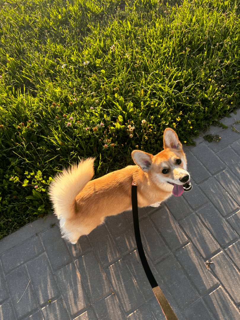 carousel-image-mobile-1