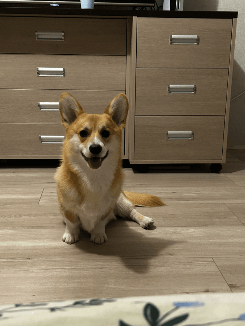 carousel-image-mobile-2