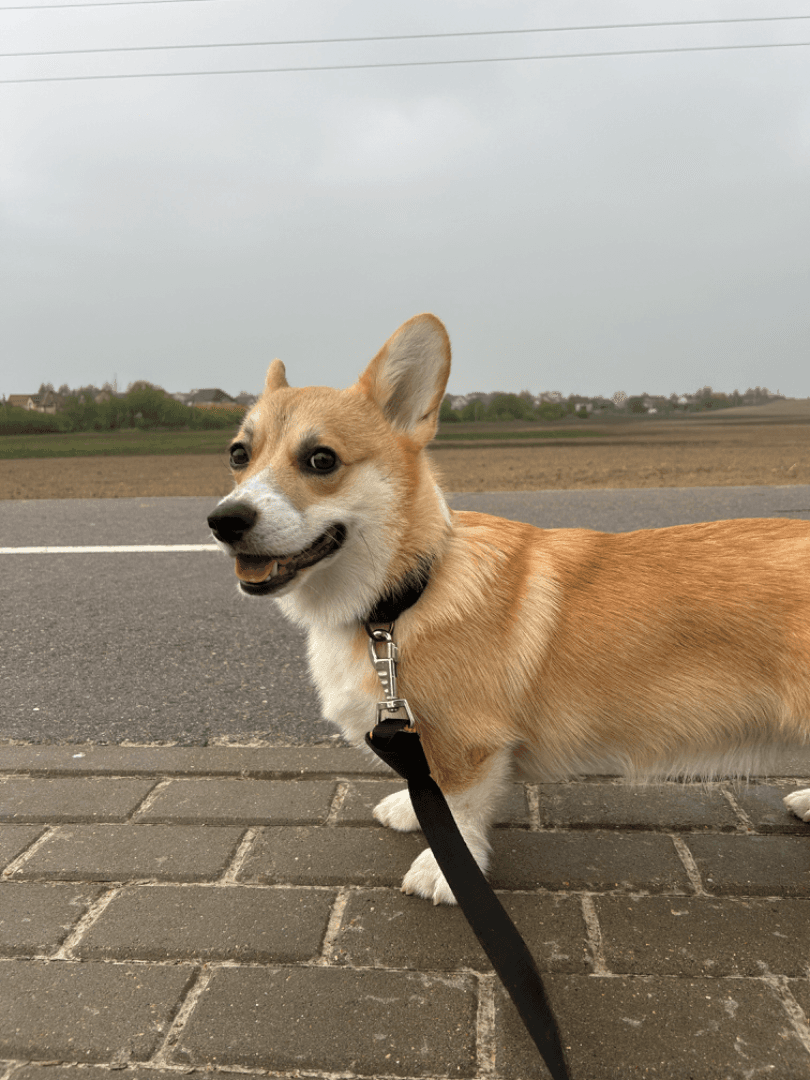 carousel-image-mobile-3