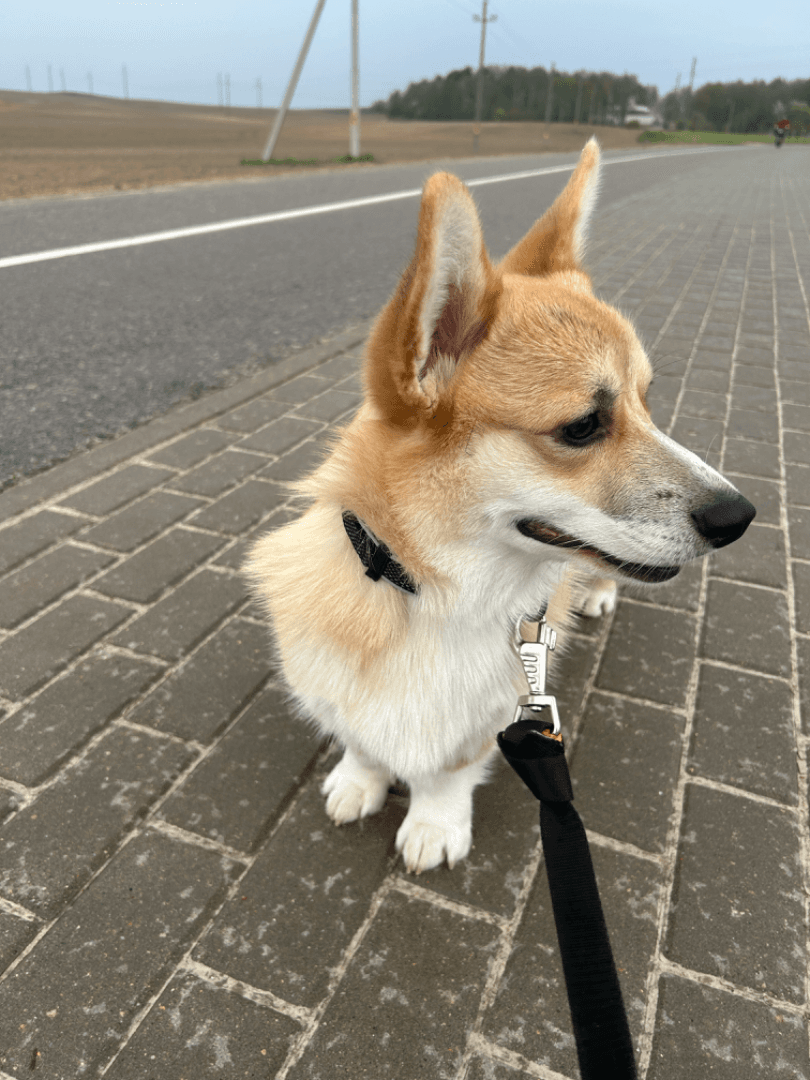 carousel-image-mobile-4