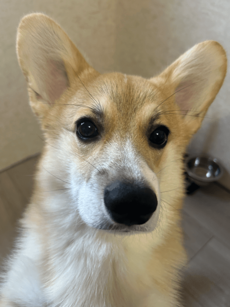 carousel-image-mobile-5