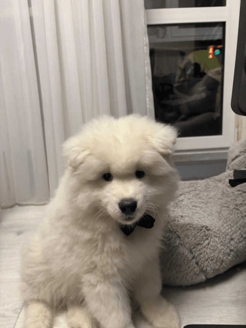 carousel-image-mobile-1