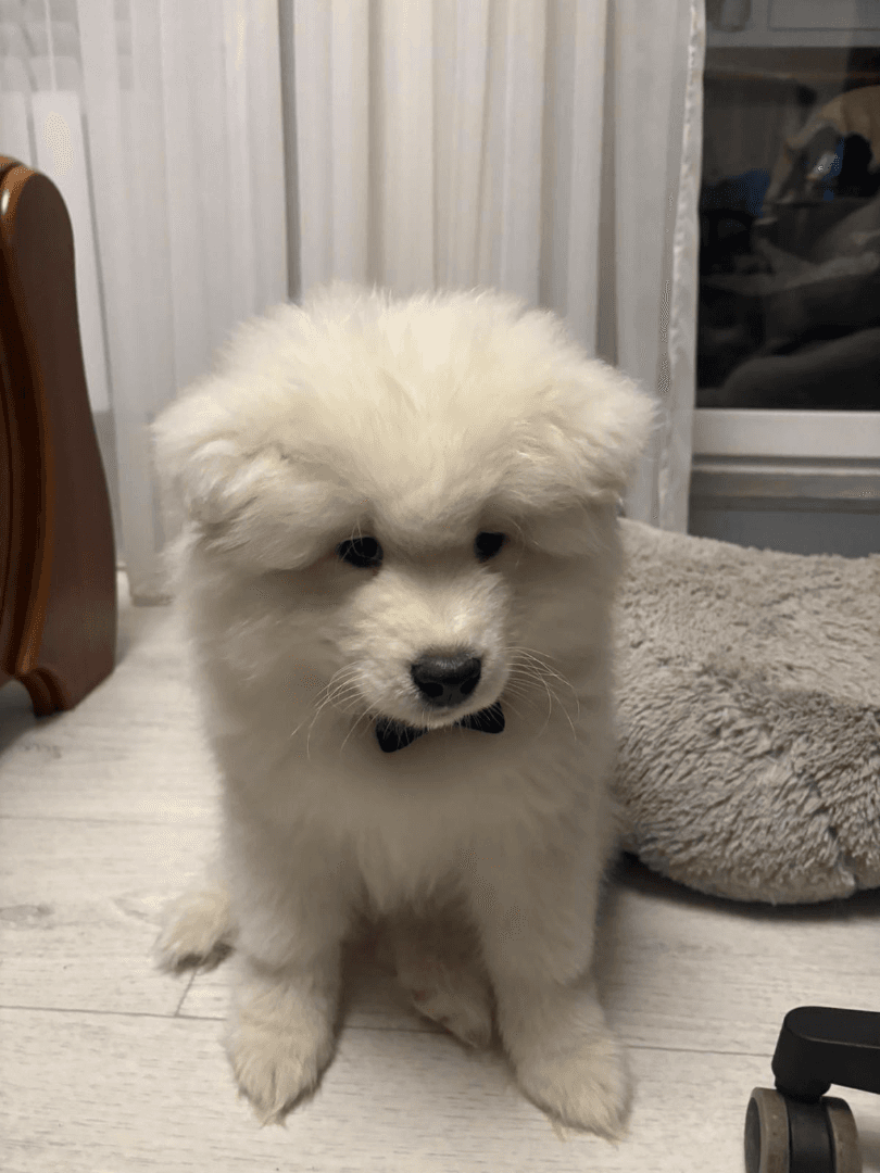 carousel-image-mobile-3