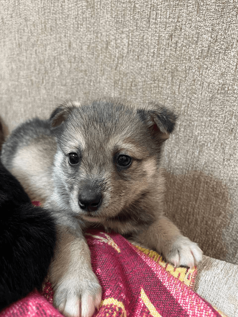 carousel-image-mobile-1