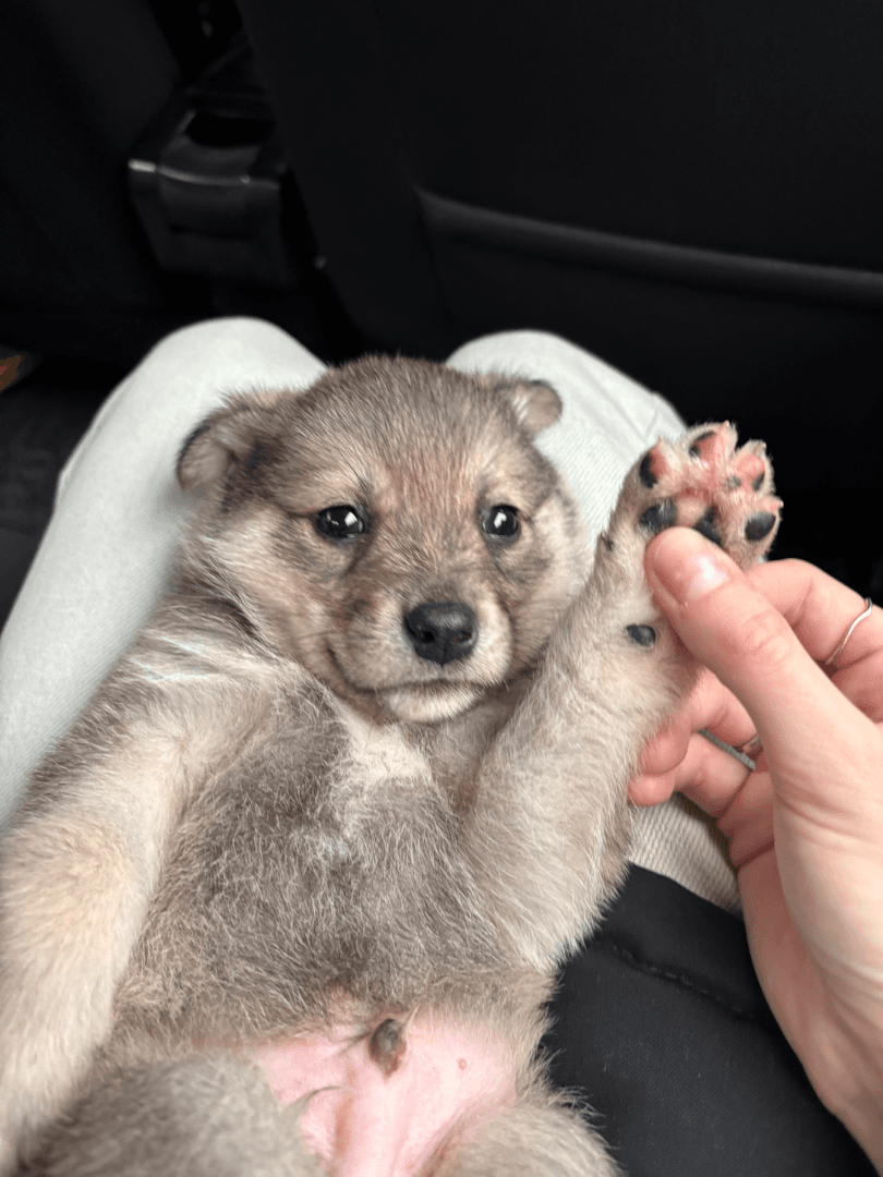 carousel-image-mobile-2