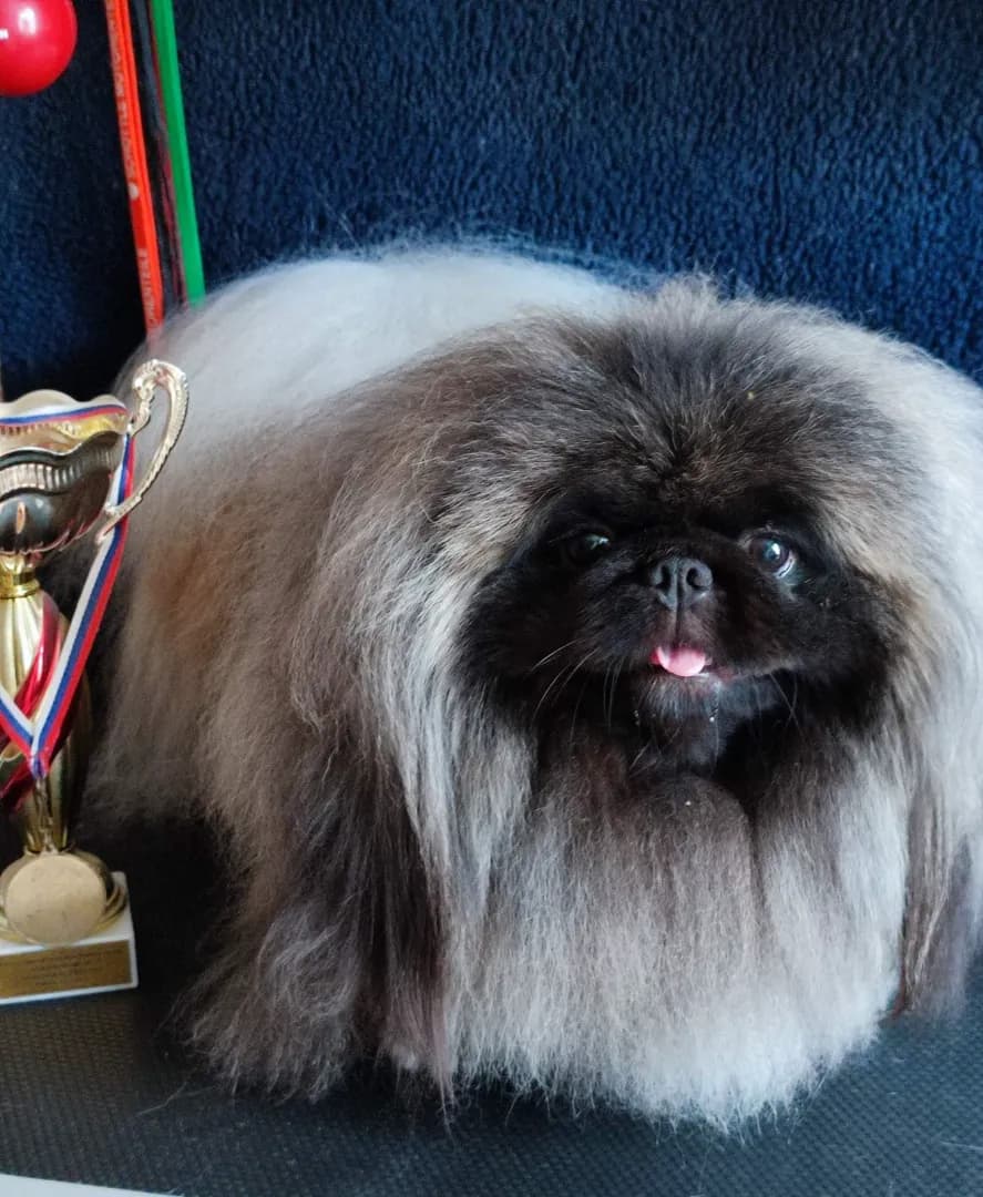 carousel-image-mobile-1