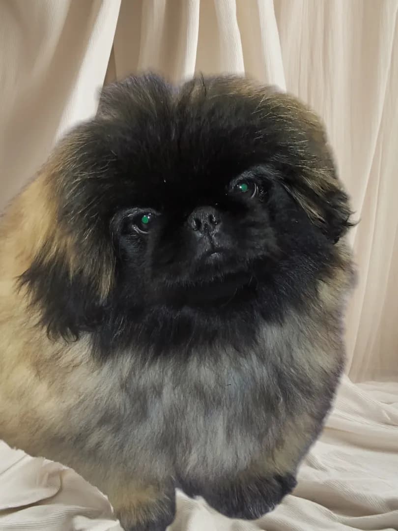 carousel-image-mobile-2