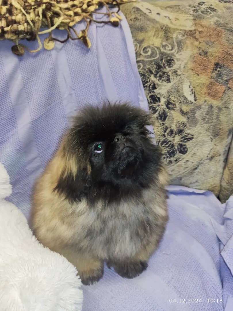 carousel-image-mobile-3