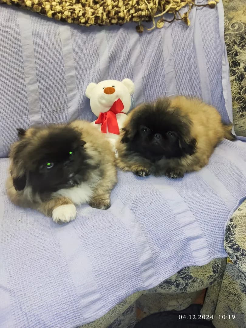 carousel-image-mobile-4