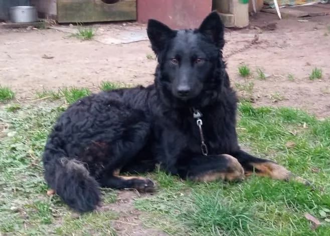 carousel-image-mobile-1