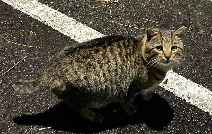 carousel-image-mobile-1