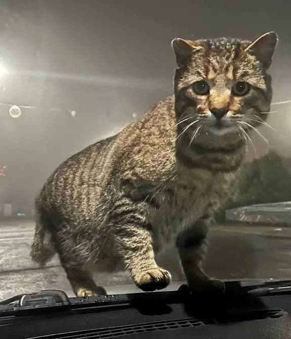 carousel-image-mobile-2