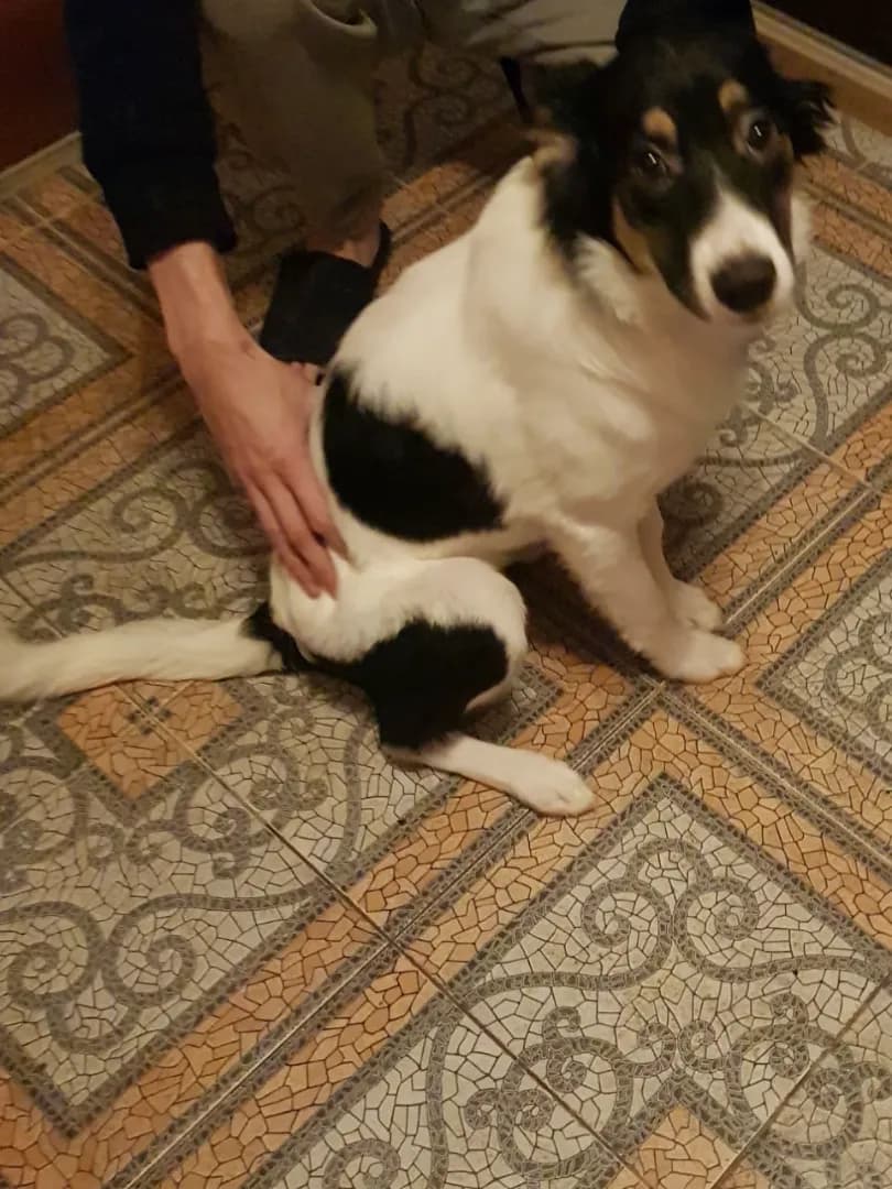 carousel-image-mobile-1