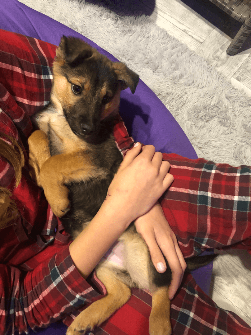 carousel-image-mobile-2