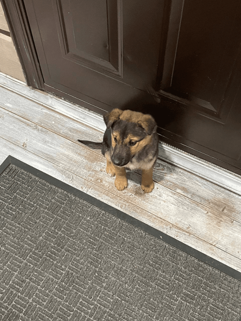 carousel-image-mobile-1