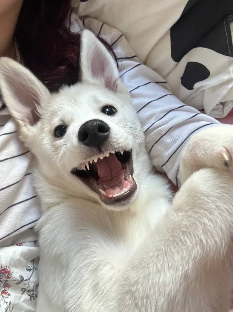 carousel-image-mobile-1