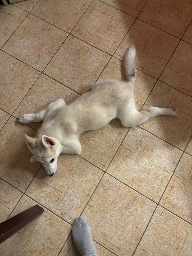 carousel-image-mobile-2