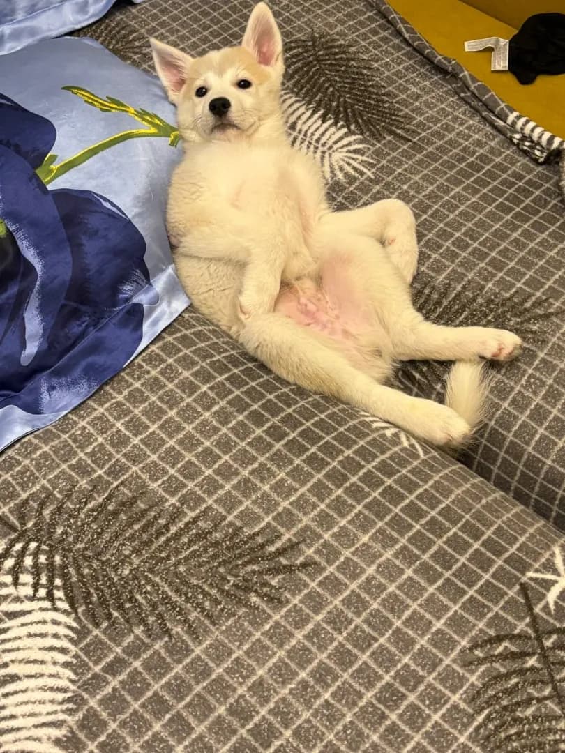 carousel-image-mobile-3