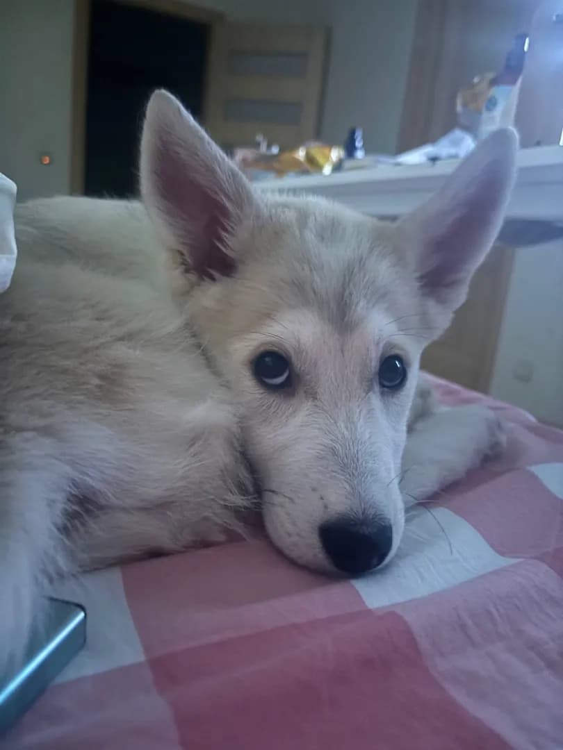 carousel-image-mobile-4