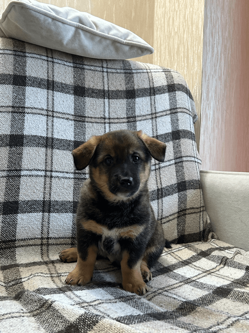 carousel-image-mobile-2