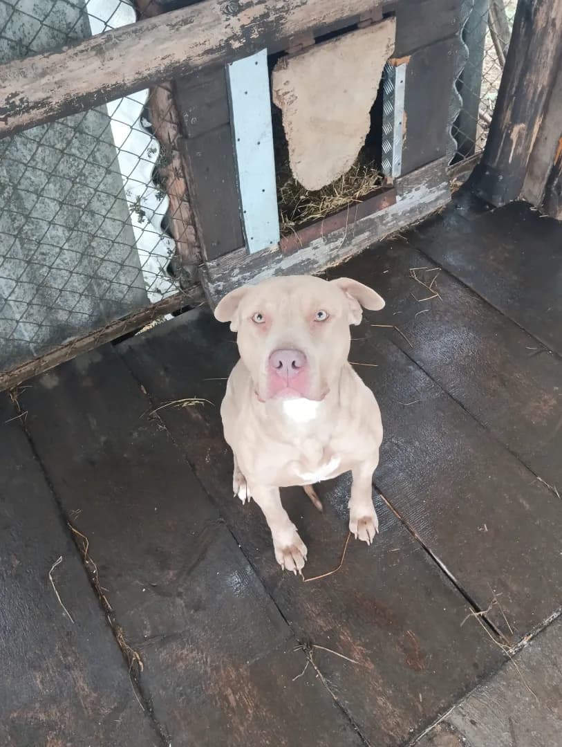 carousel-image-mobile-1