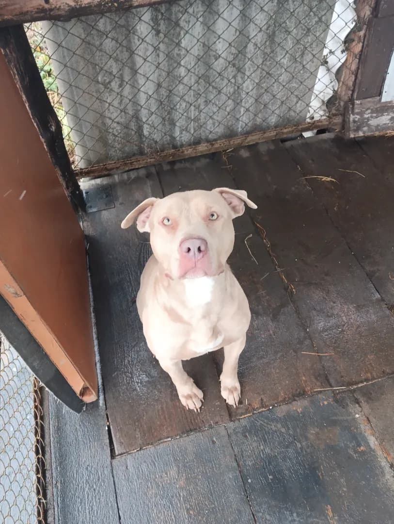 carousel-image-mobile-2