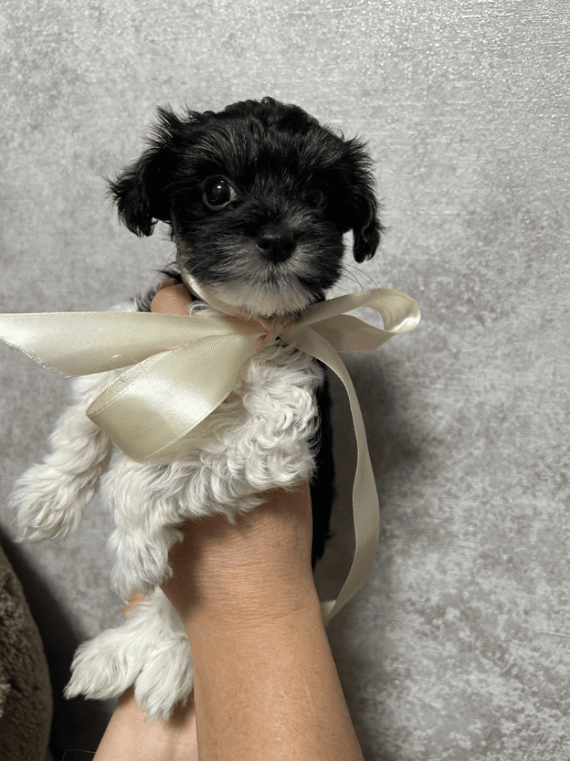 carousel-image-mobile-2