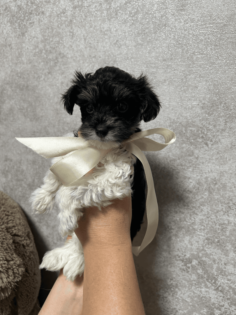 carousel-image-mobile-3