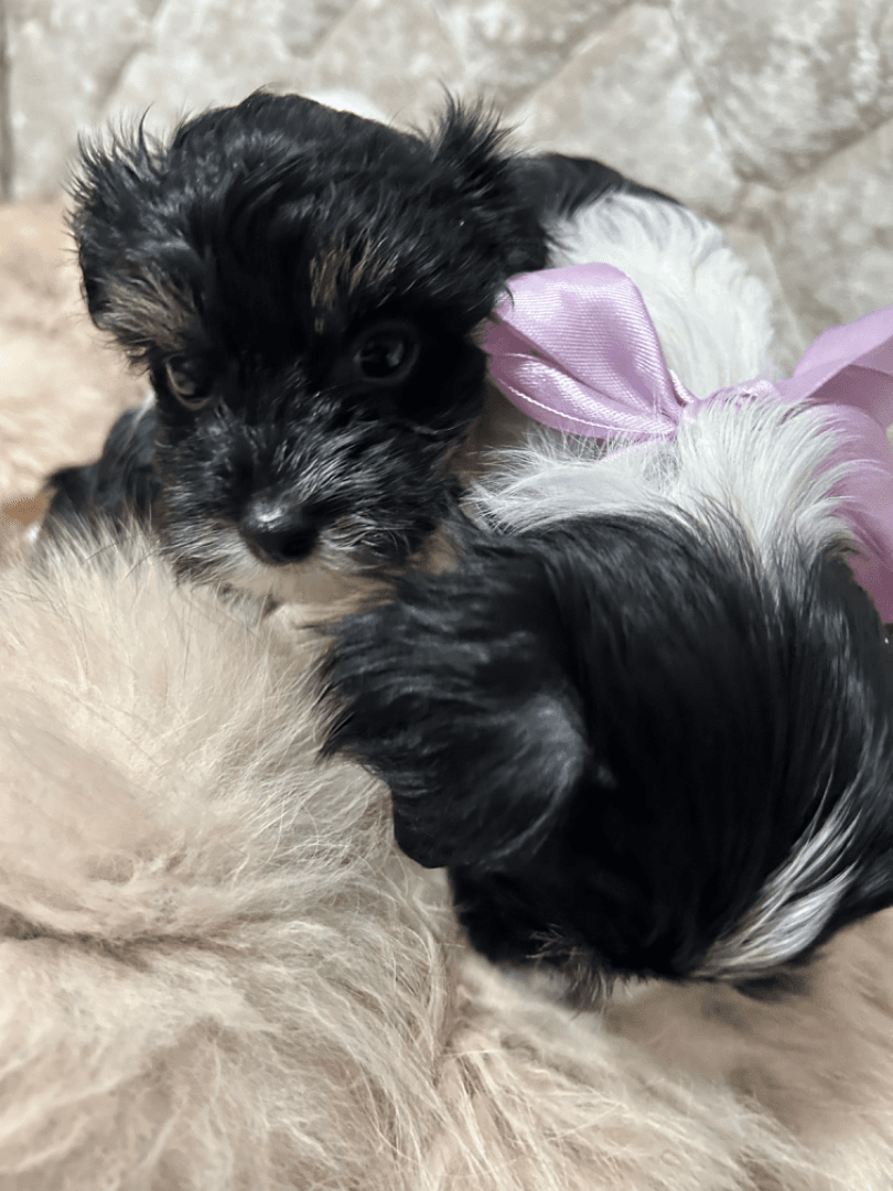 carousel-image-mobile-4