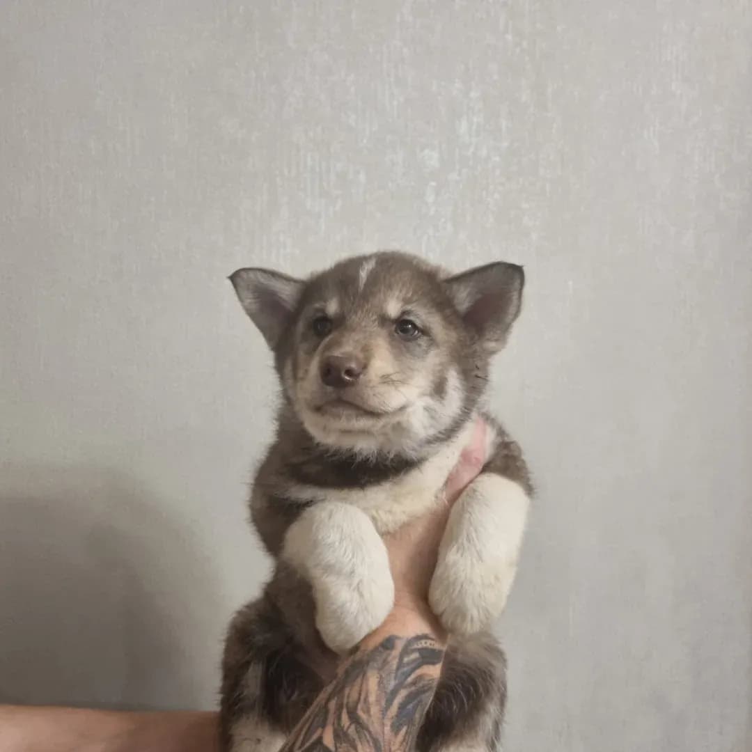 carousel-image-mobile-1