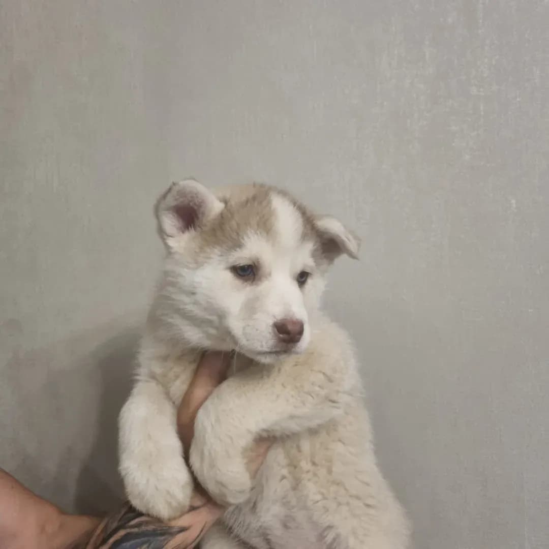 carousel-image-mobile-2