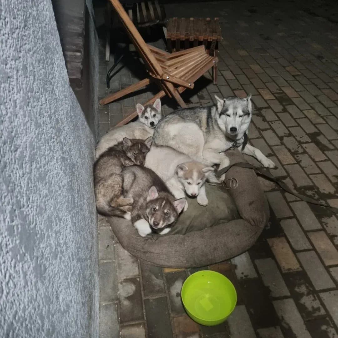 carousel-image-mobile-3