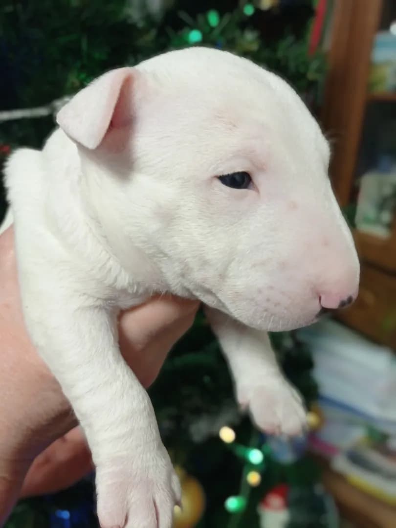 carousel-image-mobile-1