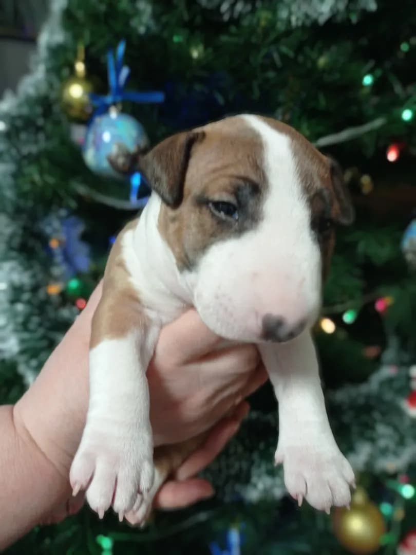 carousel-image-mobile-3