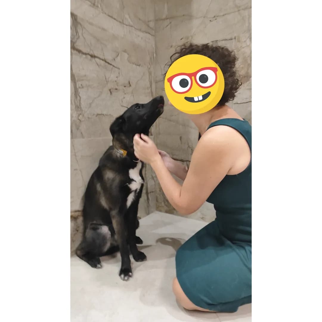 carousel-image-mobile-1