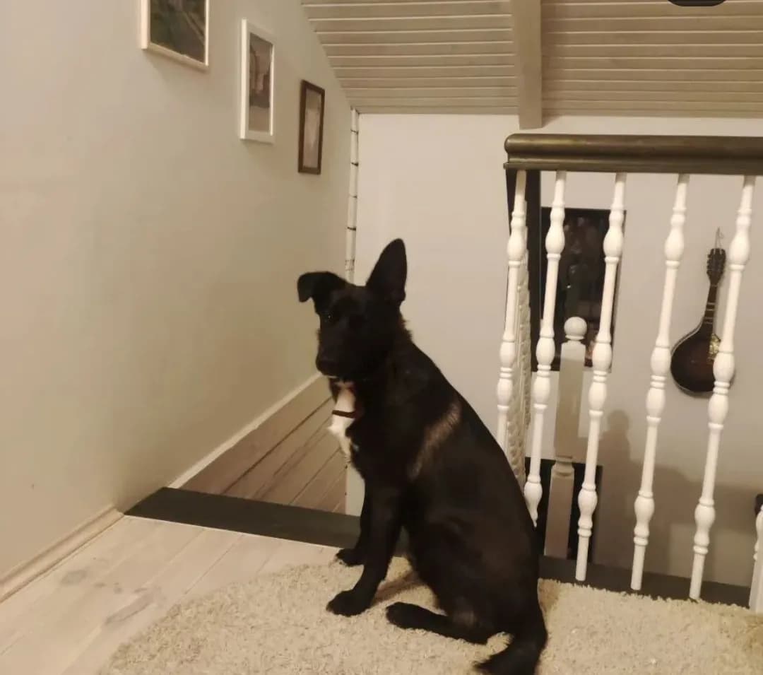 carousel-image-mobile-2