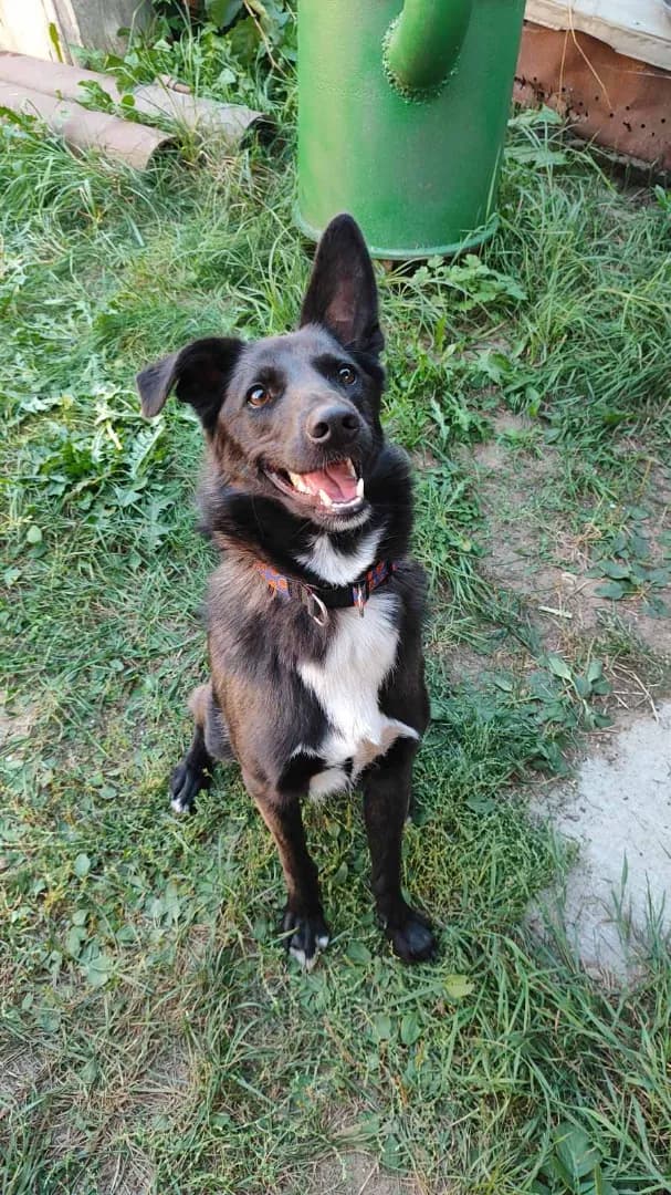 carousel-image-mobile-5