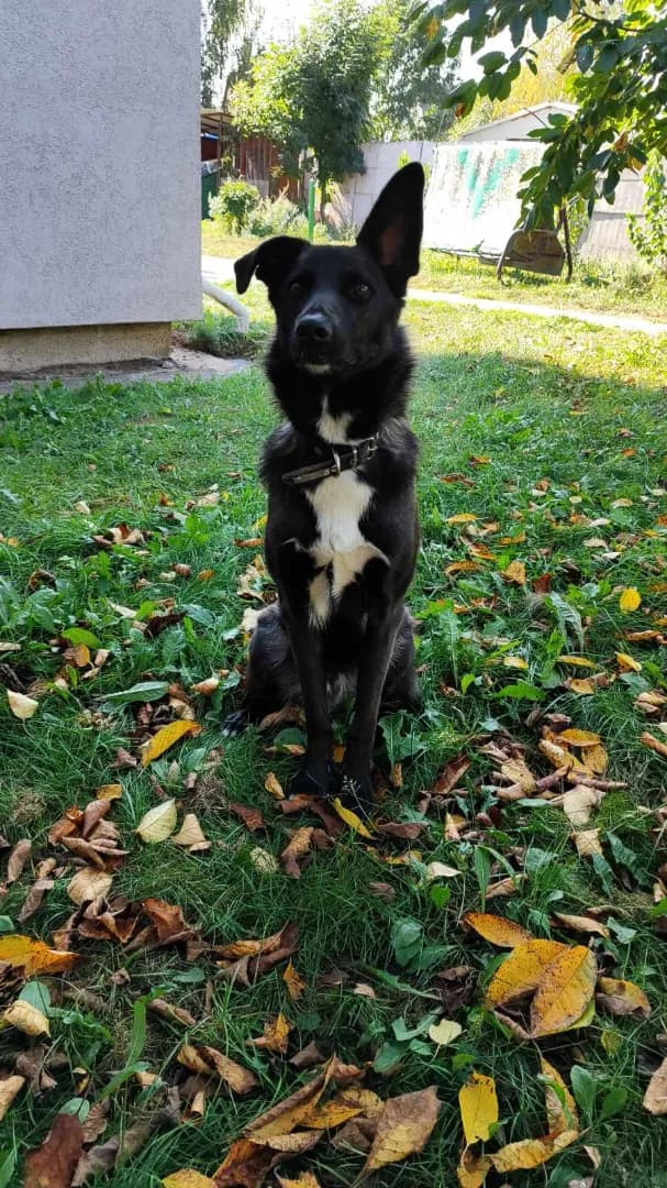 carousel-image-mobile-6