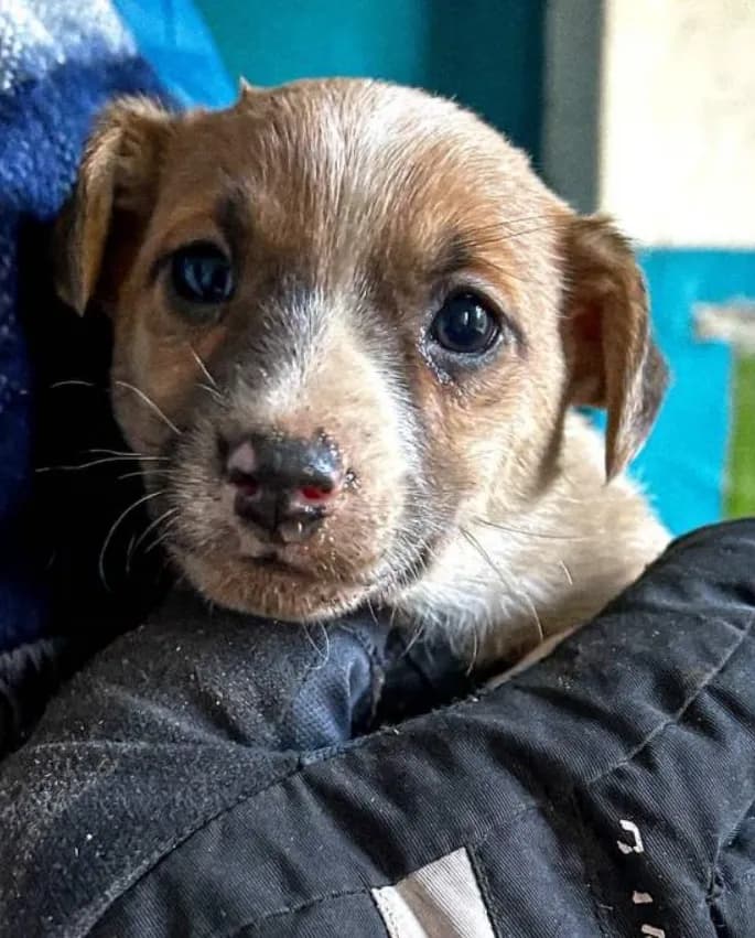 carousel-image-mobile-1