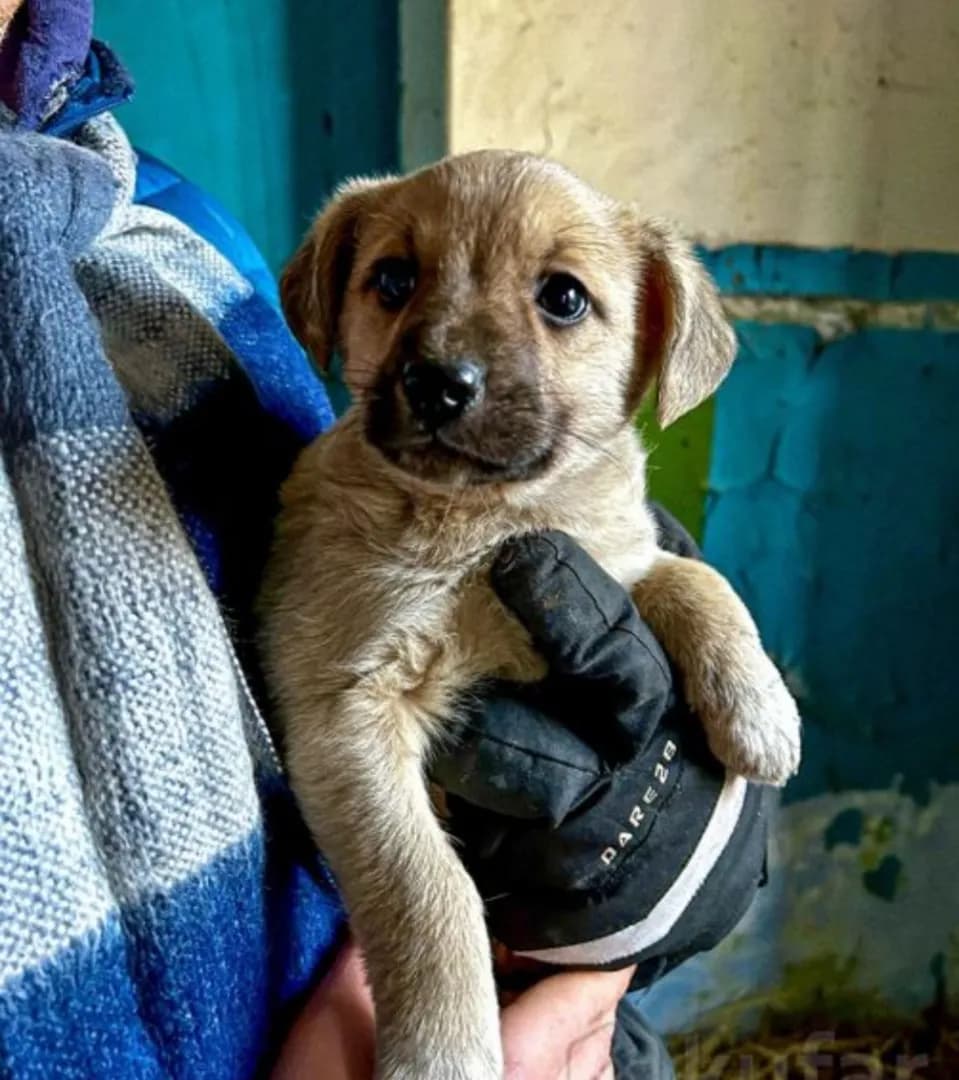 carousel-image-mobile-2